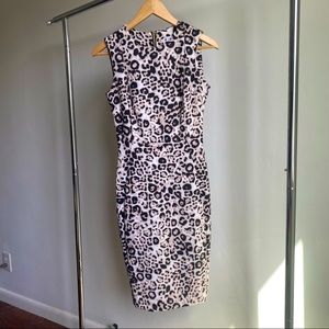 Calvin Klein leopard print scuba sheath dress with exposed gold zipper